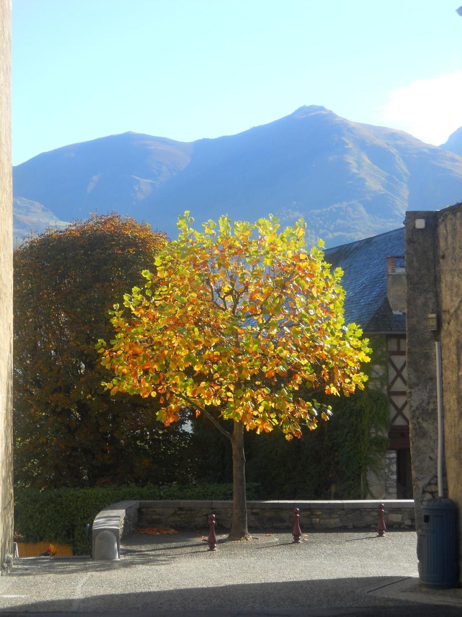 Hôtel Les Rochers Saint-Savin (Hautes-Pyrenees) Exterior foto